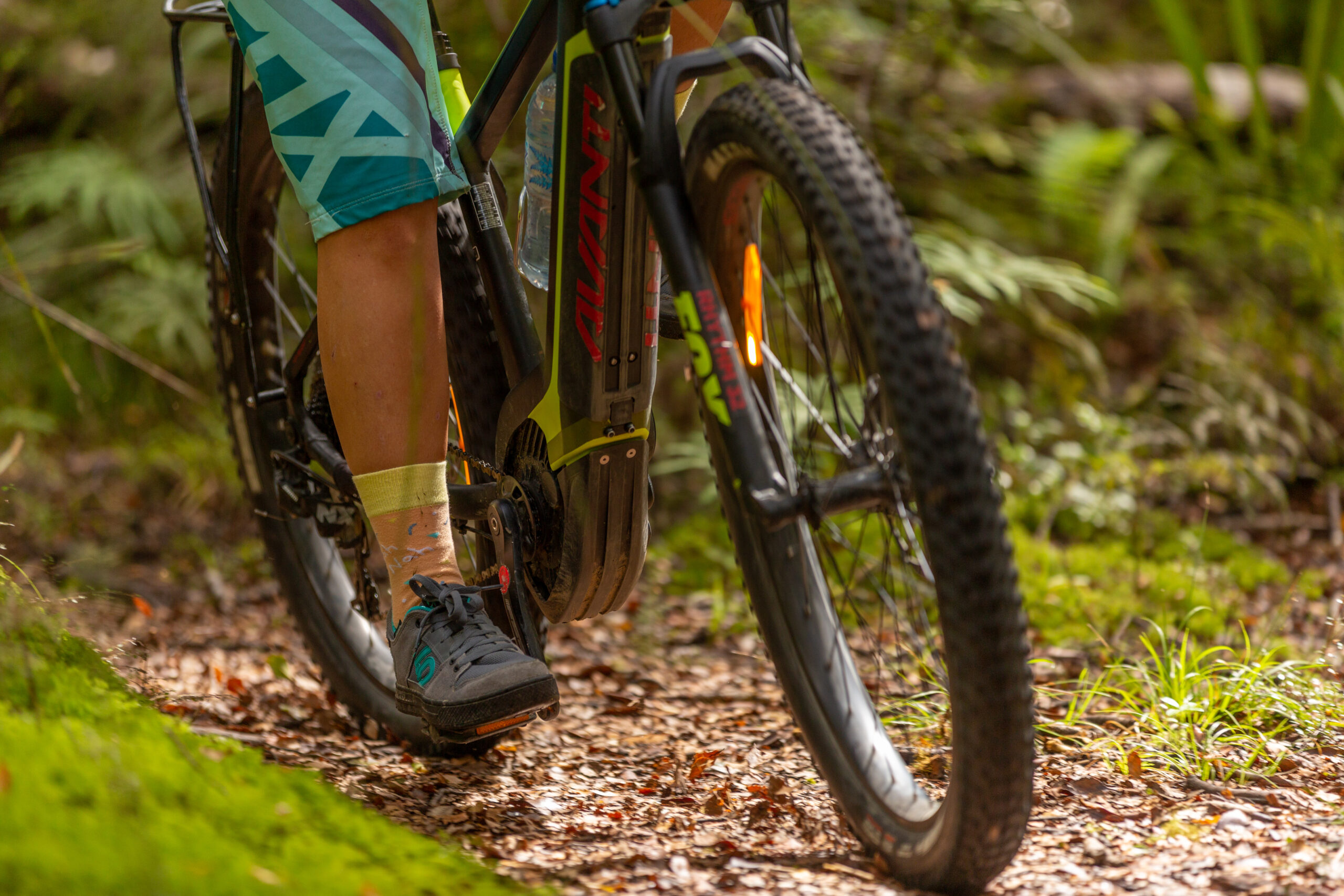 Mountain Biking Grades and Hazards MOUNTAIN BIKE HIRE & TOURS TAUPO